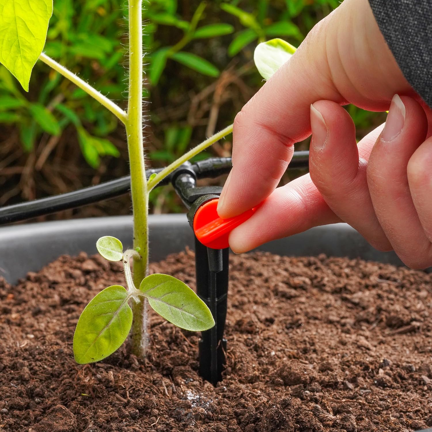 Esotec kompaktes Solar Bewässerungssystem Waterdrops 20 – Automatischer Bewässerungscomputer, 20 Wassertropfer, Timer, energieeffiziente Tropfbewässerung für Garten Balkon Beete & Pflanzgefäße 101129 — Ansicht 6