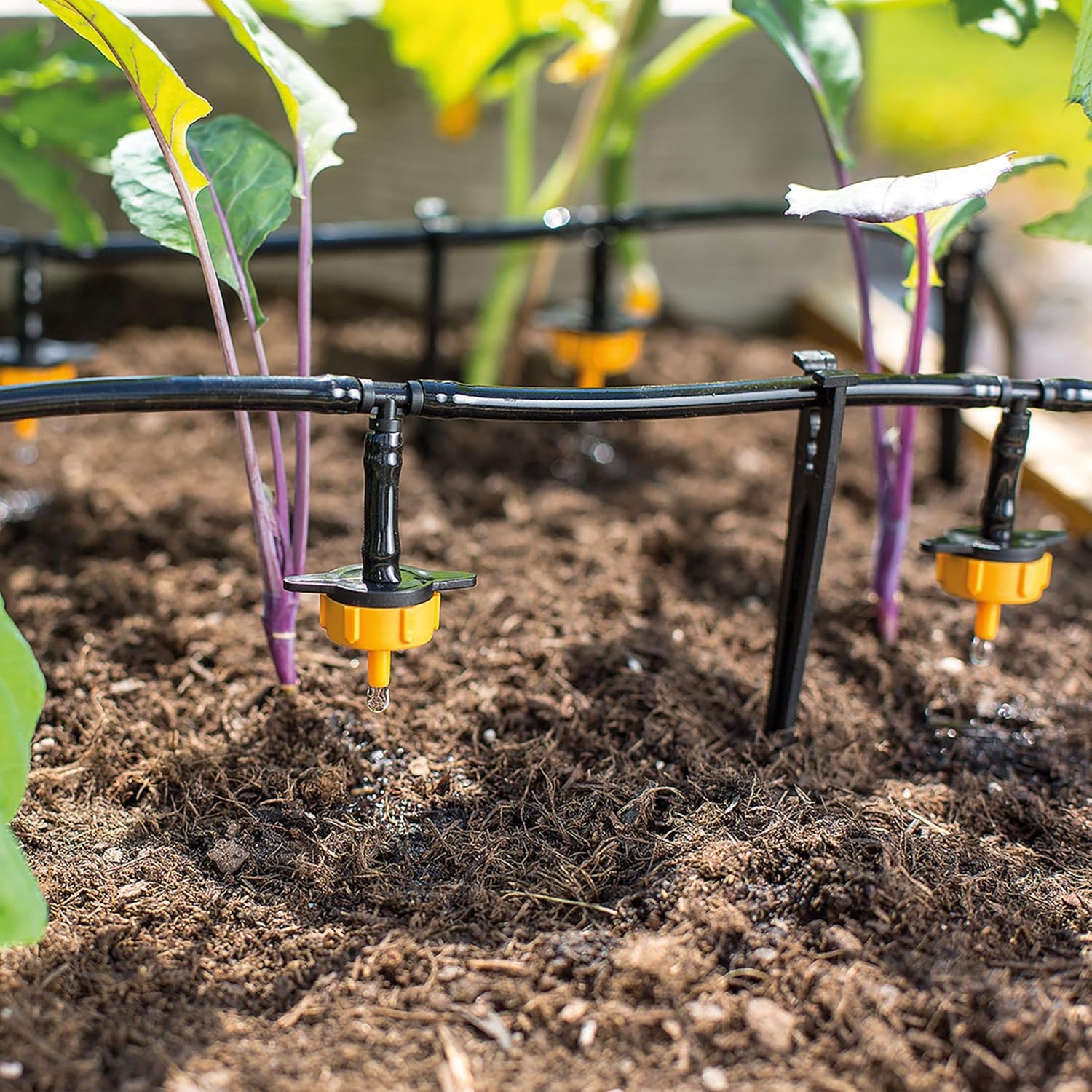 Esotec Solar Bewässerungssystem Garten mit Solarpumpe, 15 Ausgänge, Bewässerungscomputer, Tröpfchenbewässerung, Hochbeet Zubehör 101100 — Ansicht 3