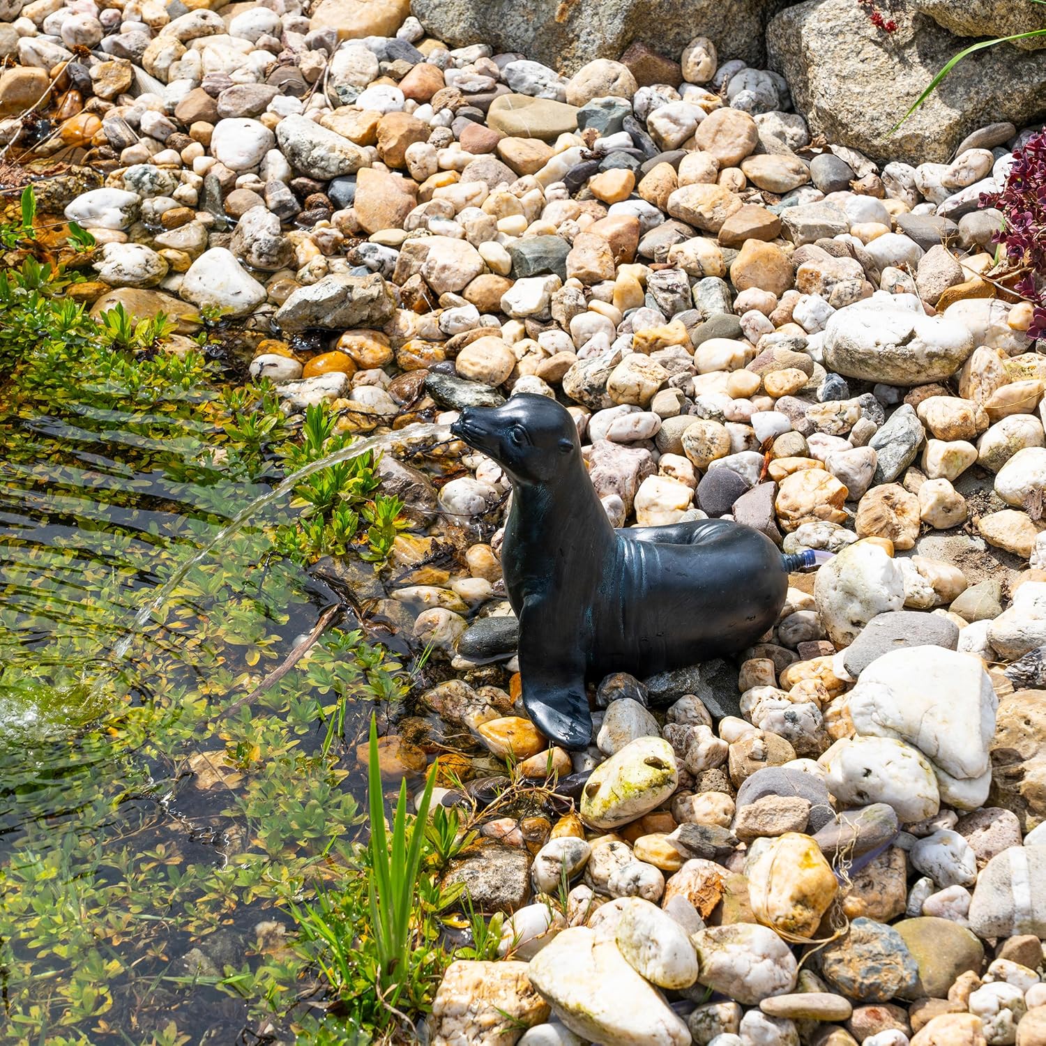 Esotec Solar Wasserspeier Komplettset, Seehund Figur Sammy, Gartenteich Wasserspiel, Vogeltränke, Vogelbad, Gartenbrunnen mit Solarpumpe, 2 Schläuche, H=25cm 101676 — Ansicht 5