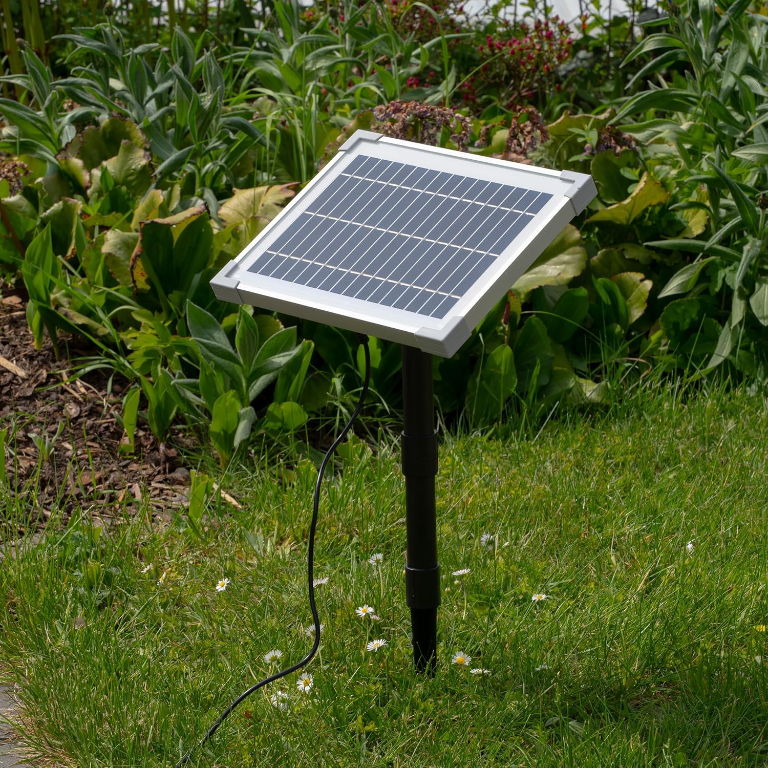 Esotec Solar Wasserspeier Komplettset, Seehund Figur Sammy, Gartenteich Wasserspiel, Vogeltränke, Vogelbad, Gartenbrunnen mit Solarpumpe, 2 Schläuche, H=25cm 101676 — Ansicht 6